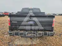 2012 Ford F-150 photo