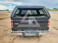 2012 Ford F-150 photo