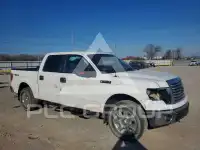 2012 Ford F-150 photo