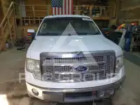 2012 Ford F-150 photo