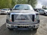 2012 Ford F-150 фото