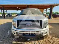 2012 Ford F-150 фото