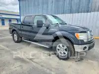 2012 Ford F-150 фото