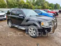 2012 Ford ESCAPE photo