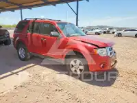 2012 Ford ESCAPE photo