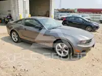 2012 Ford MUSTANG photo