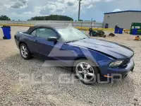 2012 Ford MUSTANG photo