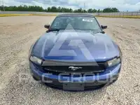 2012 Ford MUSTANG photo