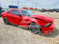 2012 Ford MUSTANG фото