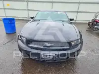 2012 Ford MUSTANG photo