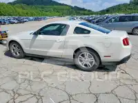 2012 Ford MUSTANG photo