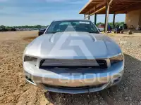 2012 Ford MUSTANG photo