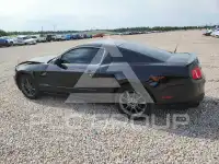 2012 Ford MUSTANG photo