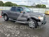 2012 Ford F-150 photo