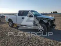2012 Ford F-150 photo