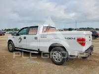2012 Ford F-150 photo