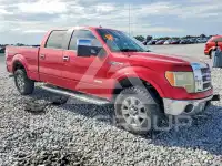 2012 Ford F-150 photo