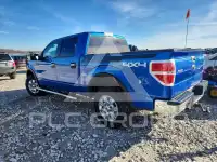 2012 Ford F-150 photo