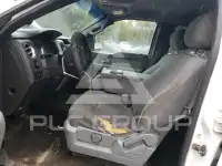2012 Ford F-150 photo