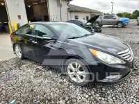 2012 Hyundai Sonata фото