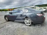 2013 Nissan MAXIMA фото