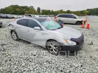 2013 Nissan MAXIMA photo