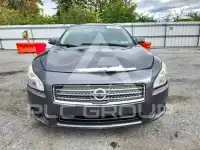 2013 Nissan MAXIMA фото