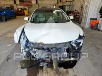 2013 Nissan MAXIMA фото