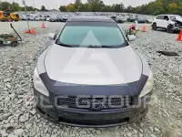 2013 Nissan MAXIMA photo