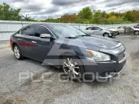 2013 Nissan MAXIMA фото