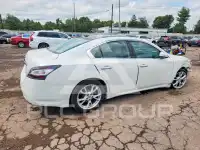 2013 Nissan MAXIMA photo