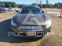 2013 Nissan MAXIMA photo