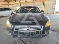 2013 Nissan MAXIMA photo