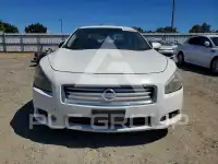 2013 Nissan MAXIMA photo