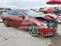 2013 Nissan MAXIMA photo