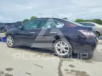 2013 Nissan MAXIMA photo