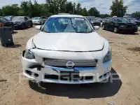 2013 Nissan MAXIMA фото