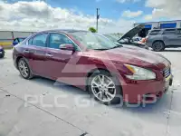 2013 Nissan MAXIMA photo