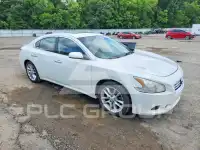 2013 Nissan MAXIMA фото