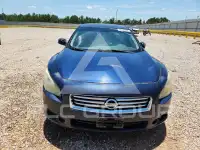 2013 Nissan MAXIMA photo