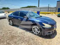 2013 Nissan MAXIMA photo