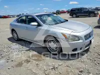 2013 Nissan MAXIMA photo