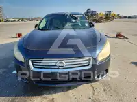 2013 Nissan MAXIMA photo