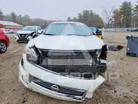2013 Nissan MAXIMA photo