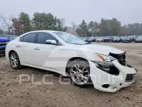 2013 Nissan MAXIMA photo