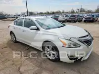 2013 Nissan ALTIMA фото