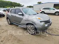 2013 Nissan Juke photo