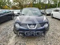 2013 Nissan Juke photo