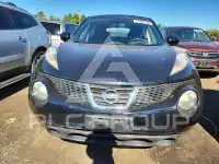 2013 Nissan Juke photo