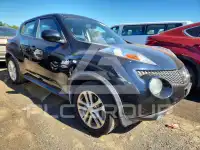 2013 Nissan Juke photo